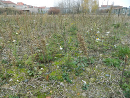 Wissenschaftsladen Leipzig